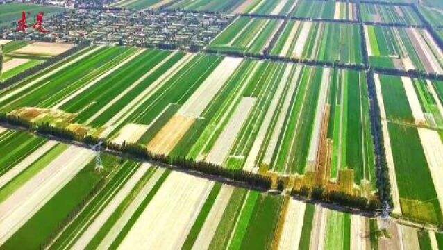 为新疆高质量发展注入强劲“水动力”