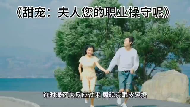 《甜宠:夫人您的职业操守呢》许时漾周砚京&全文阅读