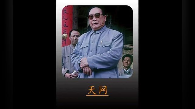 1994年上映的电影你看过吗?直到今天依旧堪称经典... #国产电影 #经典老电影 #高清 #天网