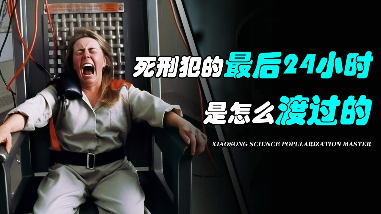 死刑犯的最后24小时,是怎么度过的?又会经历什么?_高清1080P在线观看平台_腾讯视频