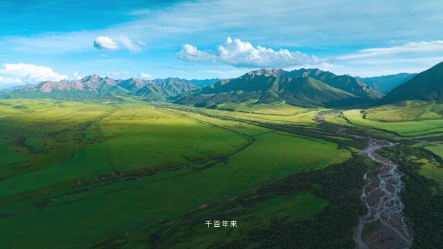 好粮产好酒.海拔4000米的祁连山下河西走廊绿洲山丹大麦基地,正是汾酒有机原粮基地,请跟随我们的镜头,去感受这片神奇而美丽的土地.