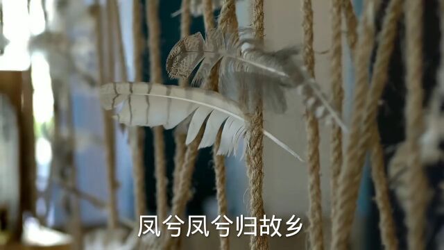 遨游四海求其凰