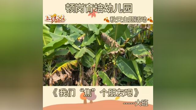 始兴县顿岗育培幼儿园大班秋天主题活动《我们“蕉”个朋友吧》