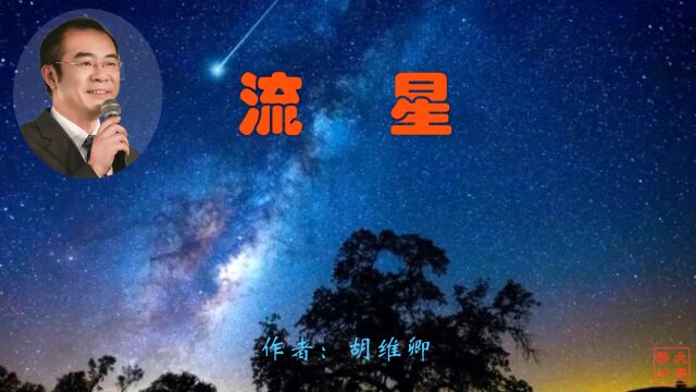 《流星》作者:胡维卿 诵读:大连伙计