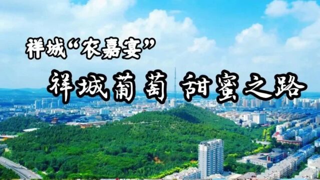 「游嘉山祥水 品家乡味道」祥城“农嘉宴”:祥城葡萄 甜蜜之路