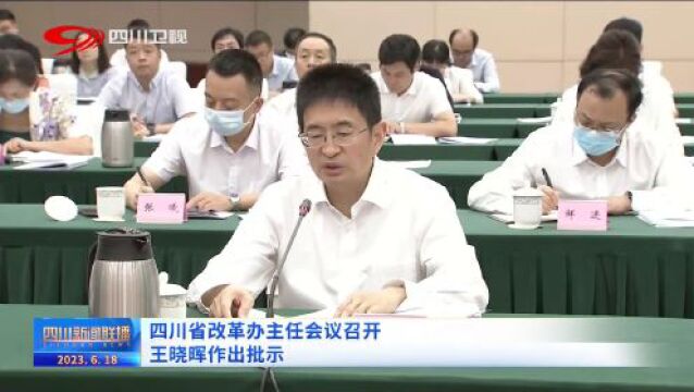 四川要闻丨四川省改革办主任会议召开 王晓晖作出批示