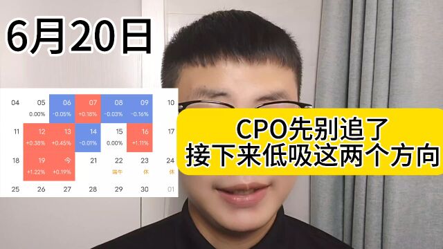 6月20日实盘记录,cpo先别追了,接下来低吸这两个方向