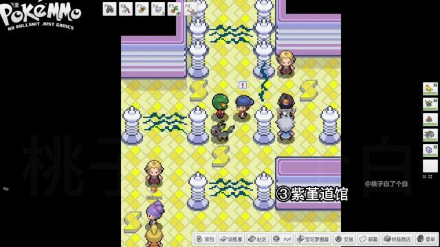 碎岩 自行车 紫堇道馆 怪力术【PokeMMO】丰缘地区P3主线剧情流程