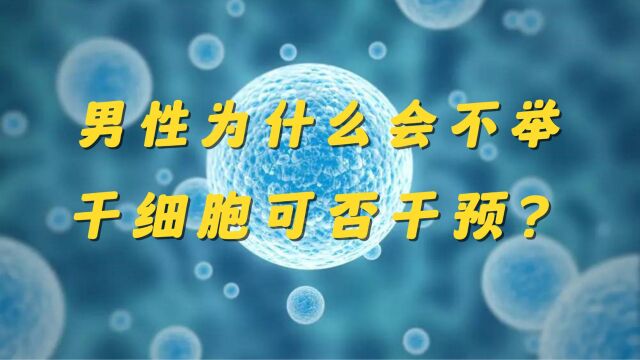 男性为什么会不举,干细胞可否干预呢?