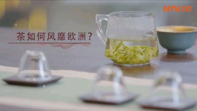 茶如何风靡欧洲?