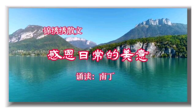 锦绣绣散文《感恩日常的美意》诵读:南丁