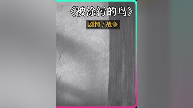 《 被涂污的鸟》3/3被战争放大的人性,尺度爆炸,小男孩的悲惨经历 #电影解说