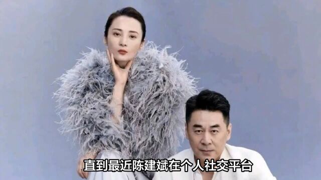 蒋勤勤发长文,指责陈建斌出轨