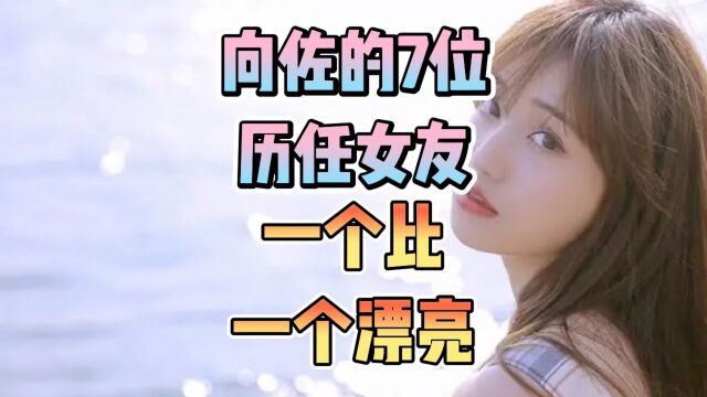 向佐的7位历任女友一个比一个漂亮