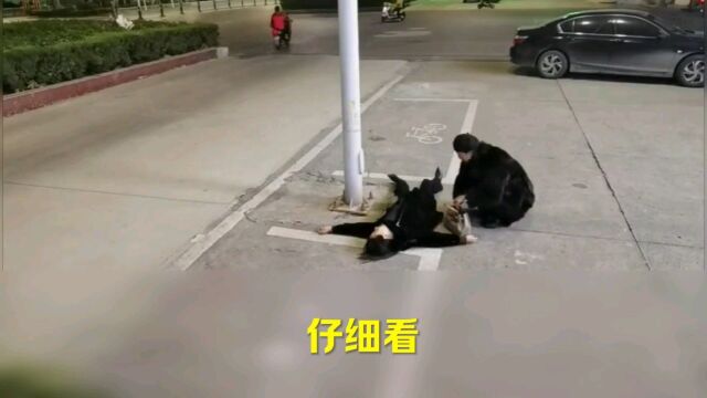 温情人间充满温情