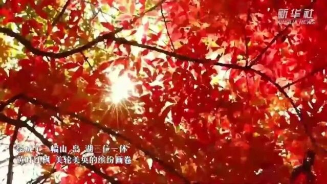 央媒眼中的吉林(2023.11.11)︱网络零售额增幅全国第一 长白天下雪诚邀天下客