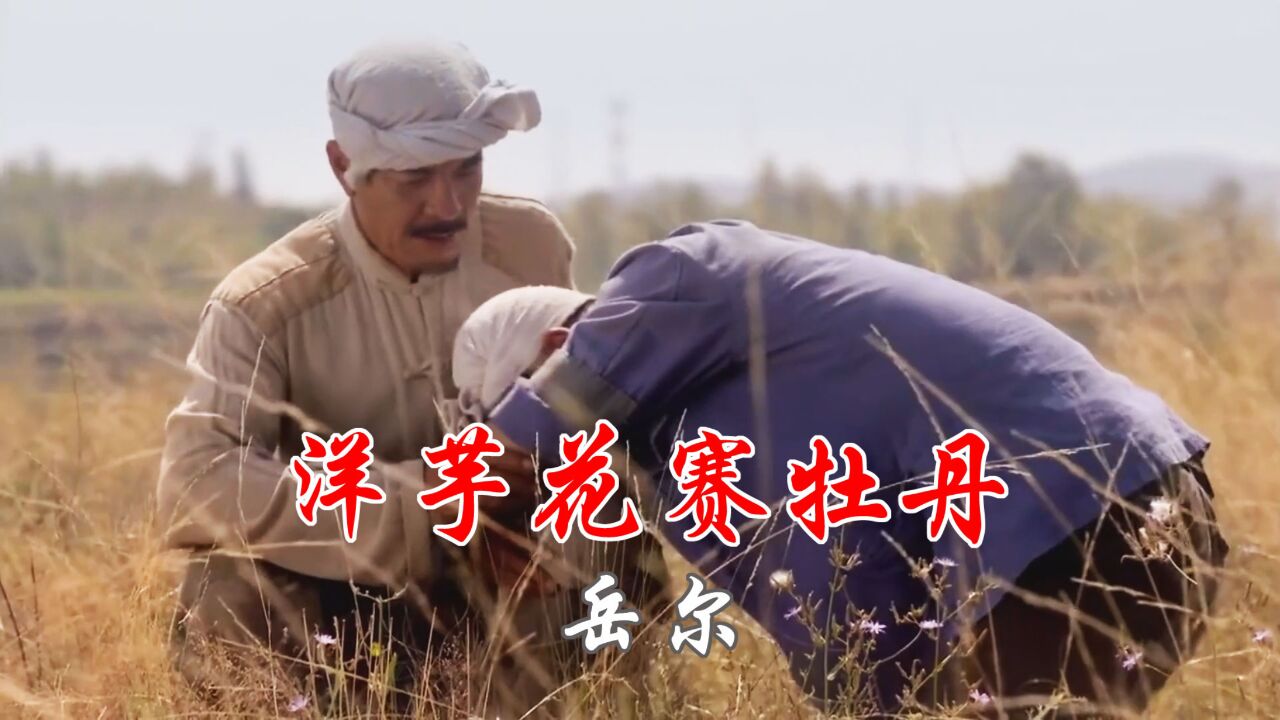 这首西北勾魂曲,洗脑曲《洋芋花赛牡丹》百听不厌,醉人心扉!