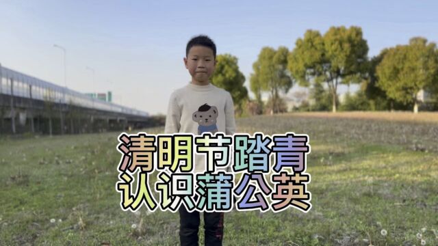 寻找蒲公英