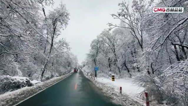 央媒眼中的吉林(2023.11.10)︱长白天下雪 制造业升级态势明显