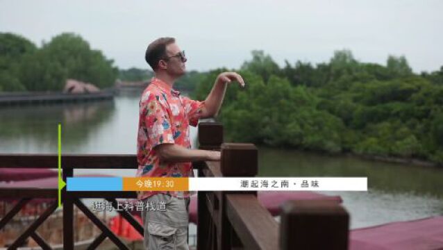 月之塔、科普栈道、科普馆,海口红树林旅游区上“新”项目啦!