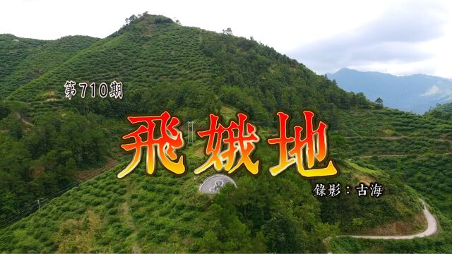 广东信宜钱排凌氏飞娥地,前面案山重重,案上起峰