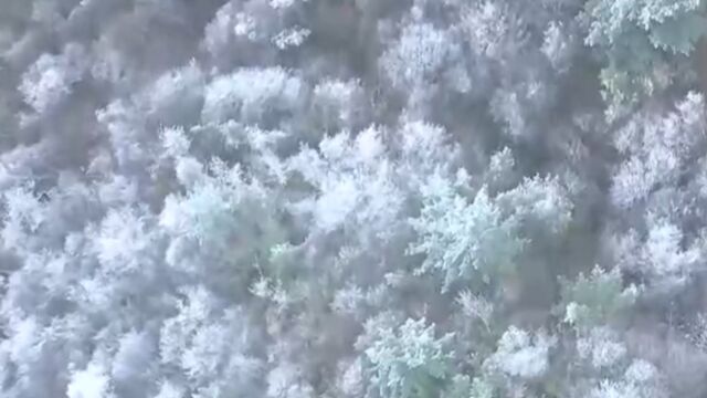 重庆城口迎来今冬首场降雪