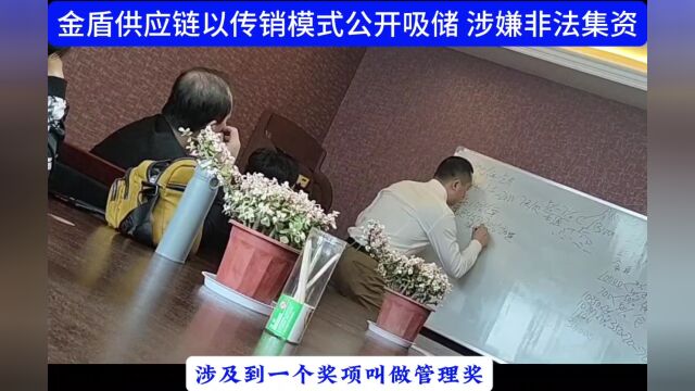 金盾椰城国际以传销模式非法吸收巨额资金被曝光