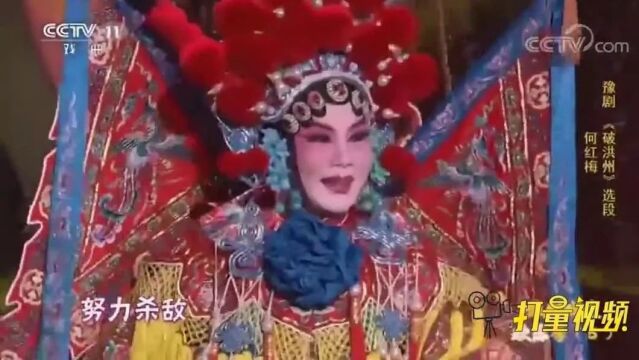 何红梅演绎豫剧《破洪州》气势恢宏,听得人如痴如醉