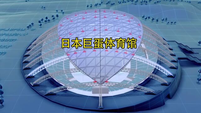 日本大分体育场:穹顶形建筑的一大创新