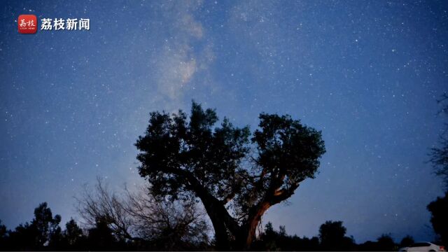 星河浪漫!新疆哈密银河星海与爱心树同框