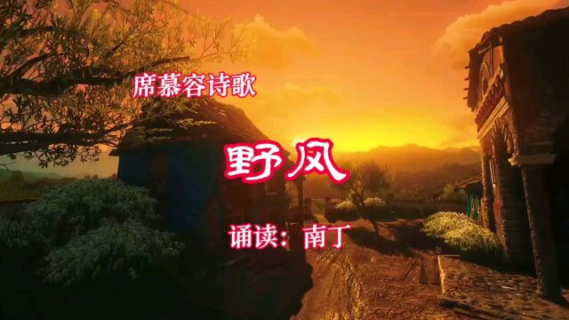 席慕容诗歌《野风》诵读:南丁