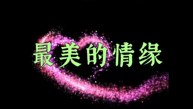 最美的情缘  魏新雨演唱歌曲