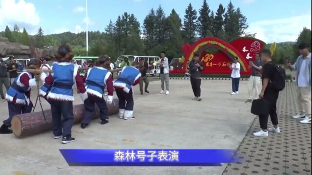 东方甄选黑龙江行|走进“森林里的家”——伊春