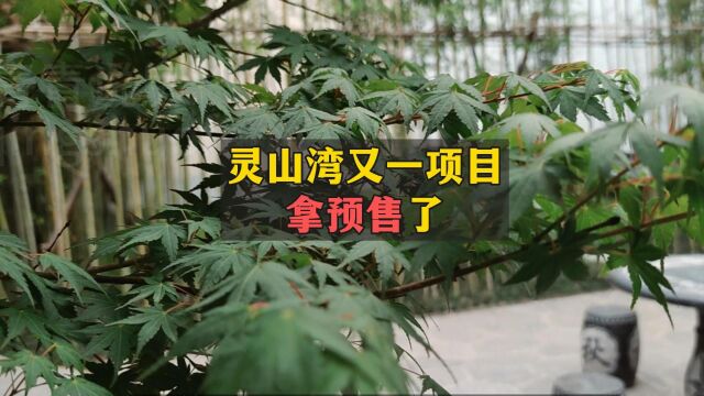 灵山湾又一项目拿预售了