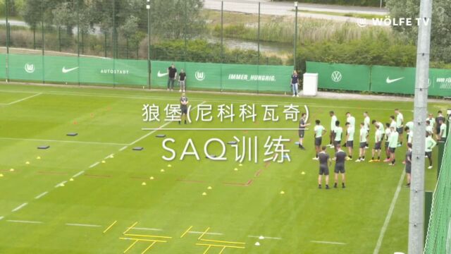 狼堡(尼科科瓦奇)SAQ训练