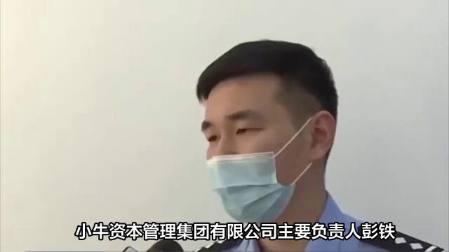 #小牛资本非法集资案一审宣判