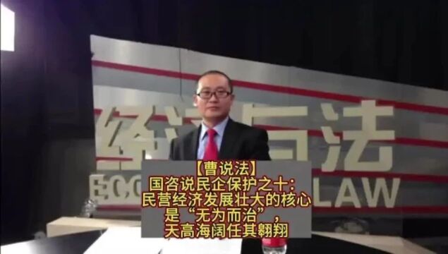 国咨说民企保护之十:民营经济发展壮大的核心是“无为而治”,天高海阔任其翱翔