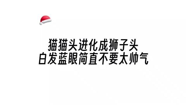 猫猫头进化成狮子头,白发蓝眼简直不要太帅气