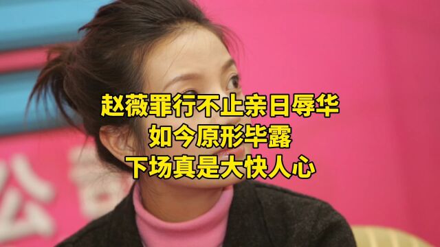 赵薇罪行不止亲日辱华,如今原形毕露,下场真是大快人心