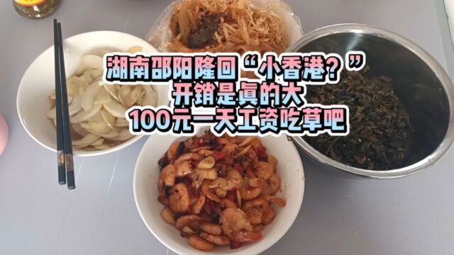 湖南隆回100元一天的工资能干嘛?1天的开销都不够,不愧有小香港的称呼