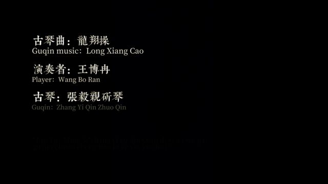 琴曲【龙翔操】“桃月鸣丝”张毅古琴院第一届吴派古琴传承班毕业音乐会单曲欣赏 演奏者:王博冉