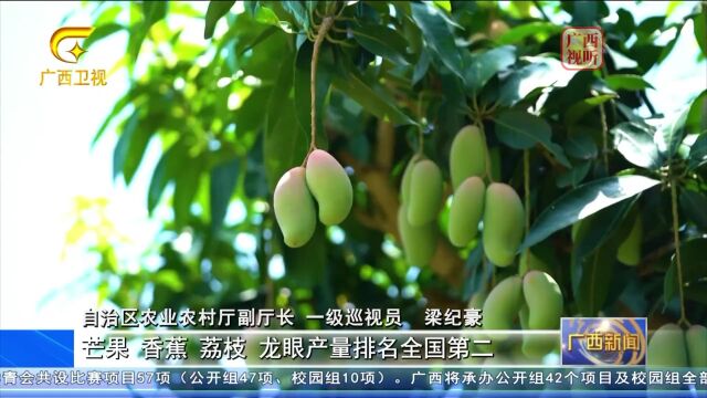 广西水果产量连续五年保持全国第一 打造全国知名“果盘子”