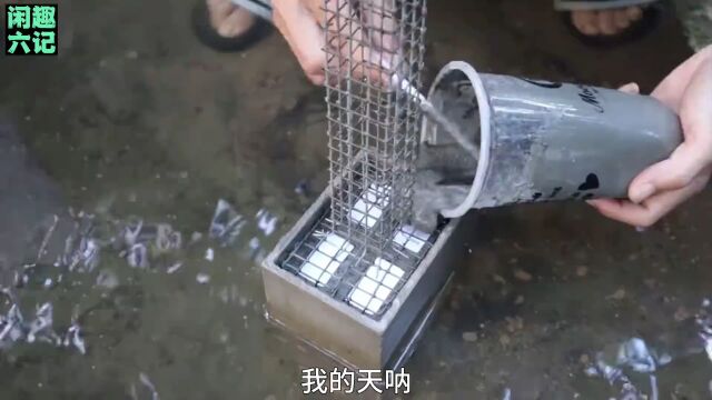 小伙在溪流里徒手建造了一座跨海大桥模型 太牛了 #手工diy #建造 #桥梁 #高手在民间