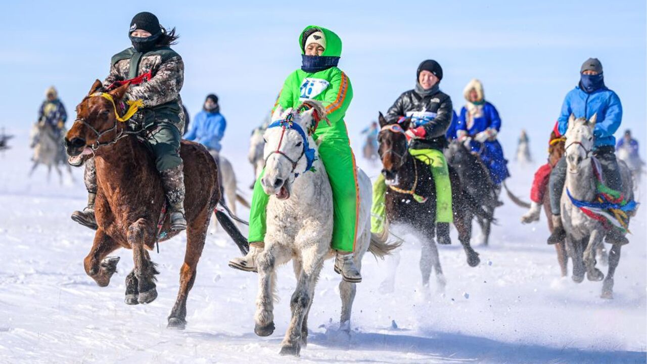 内蒙古锡林郭勒蒙古马超级联赛开赛 骑手挥舞马鞭,雪地策马驰骋