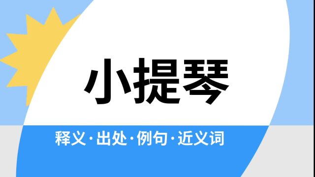 “小提琴”是什么意思?