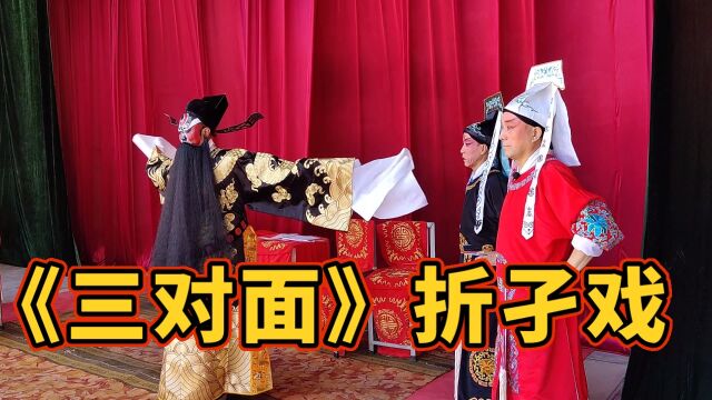 包由马应刚饰演 皇姑由李素娟饰演 秦香莲由张利萍饰演