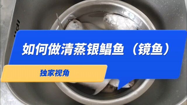 独家视角:如何做清蒸银鲳鱼(镜鱼)