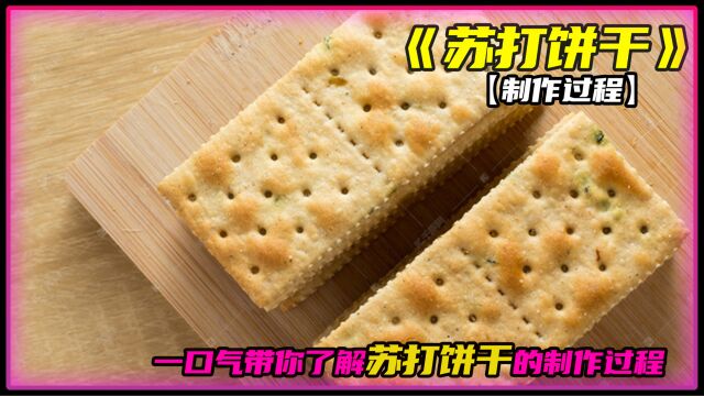 一口气带你看苏打饼干的制作过程