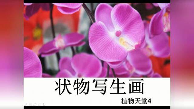 海豚教育怎么样好吗:《蝴蝶花》解析