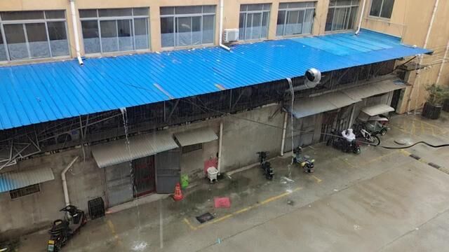 此时无声胜有声台风杜苏芮在柘城县下起了大暴雨#终于下雨了